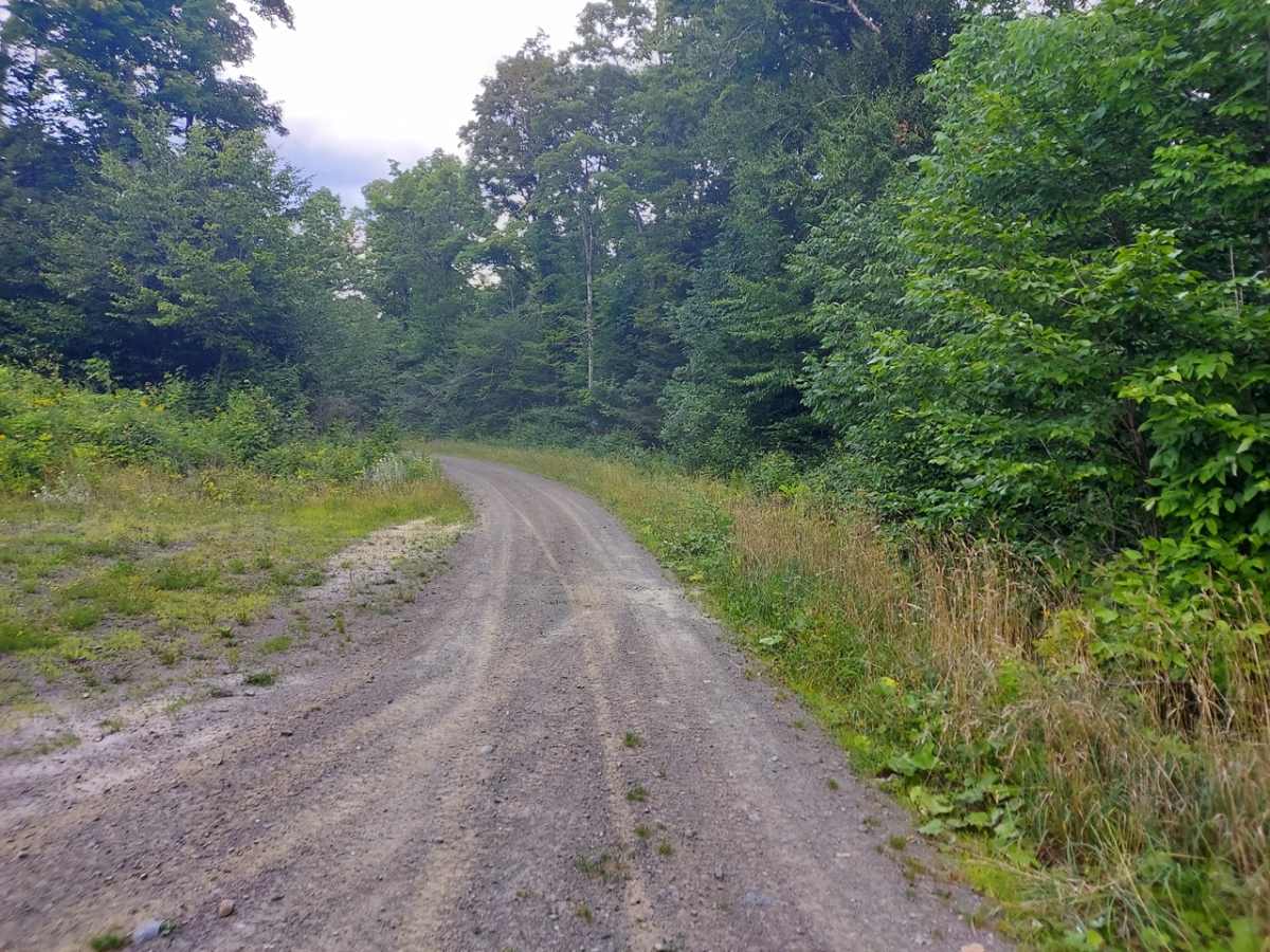 Evergreen Way photo 2