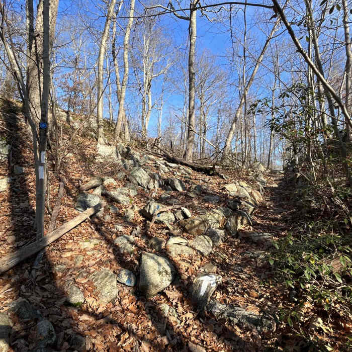 Near Perkins Loop via Appalachian Trail Near Perkins Loop via Appalachian Trail