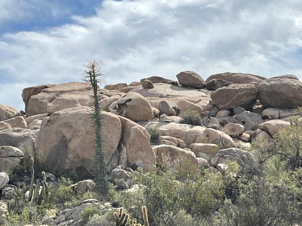 Santo Tomas to Vicente Guerrero trail photo