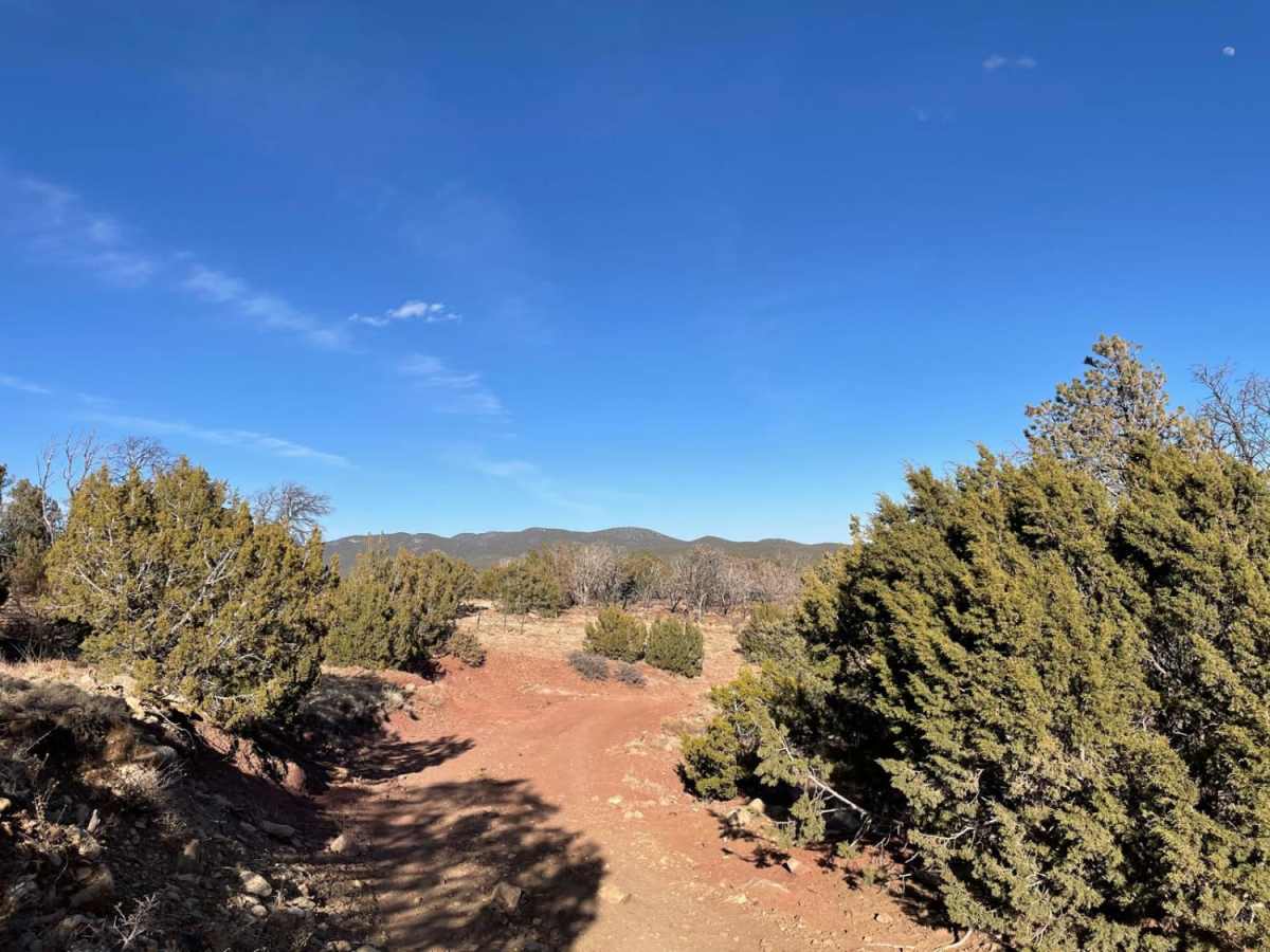 Coyote Canyon photo 3