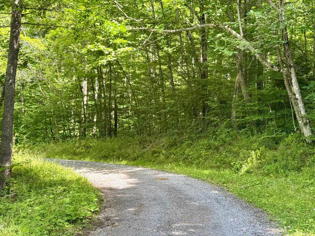 Dogway Road - FS 232 photo 2