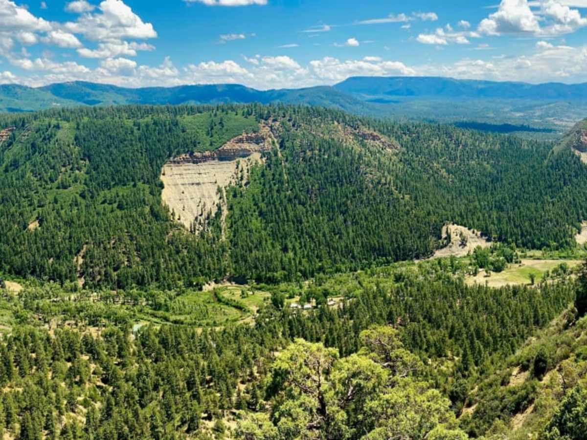 Eight Mile Mesa C-USFS Rd #651C trail photo