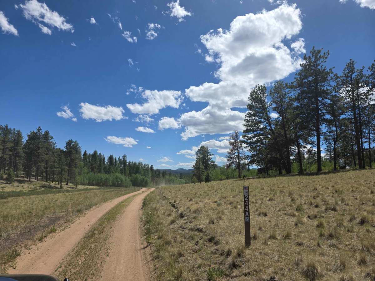 Nice Camp Road - FS 244A trail photo