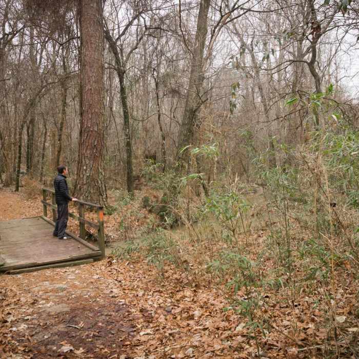 Near Chicot State Park Hiking Trail