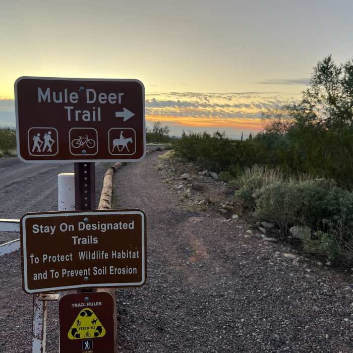 Near Mule Deer Trail