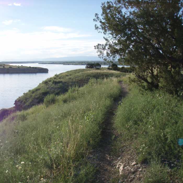 Near Outer Limits Trail