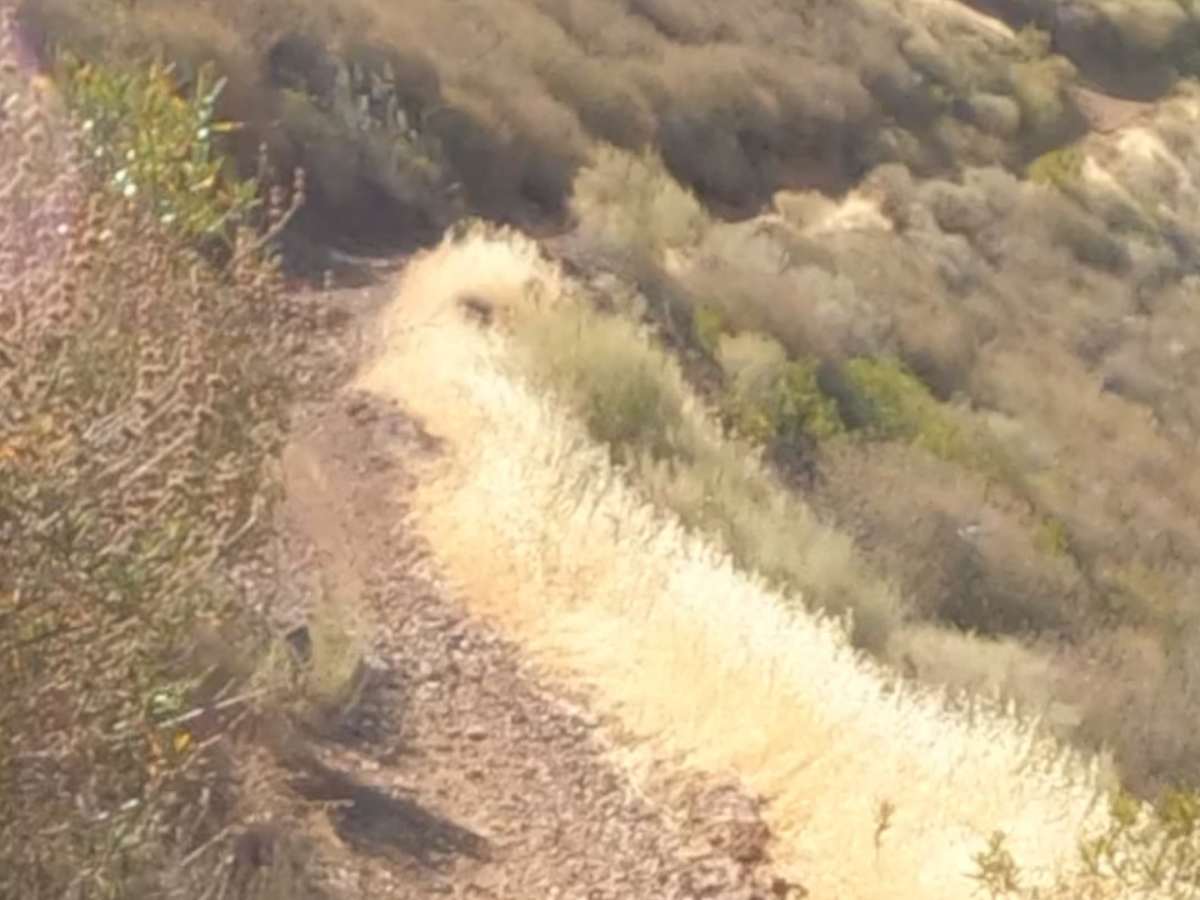 Brewers Trail trail photo