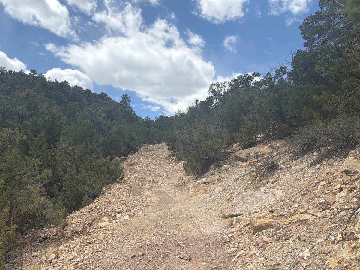 BLM 6181 photo 3