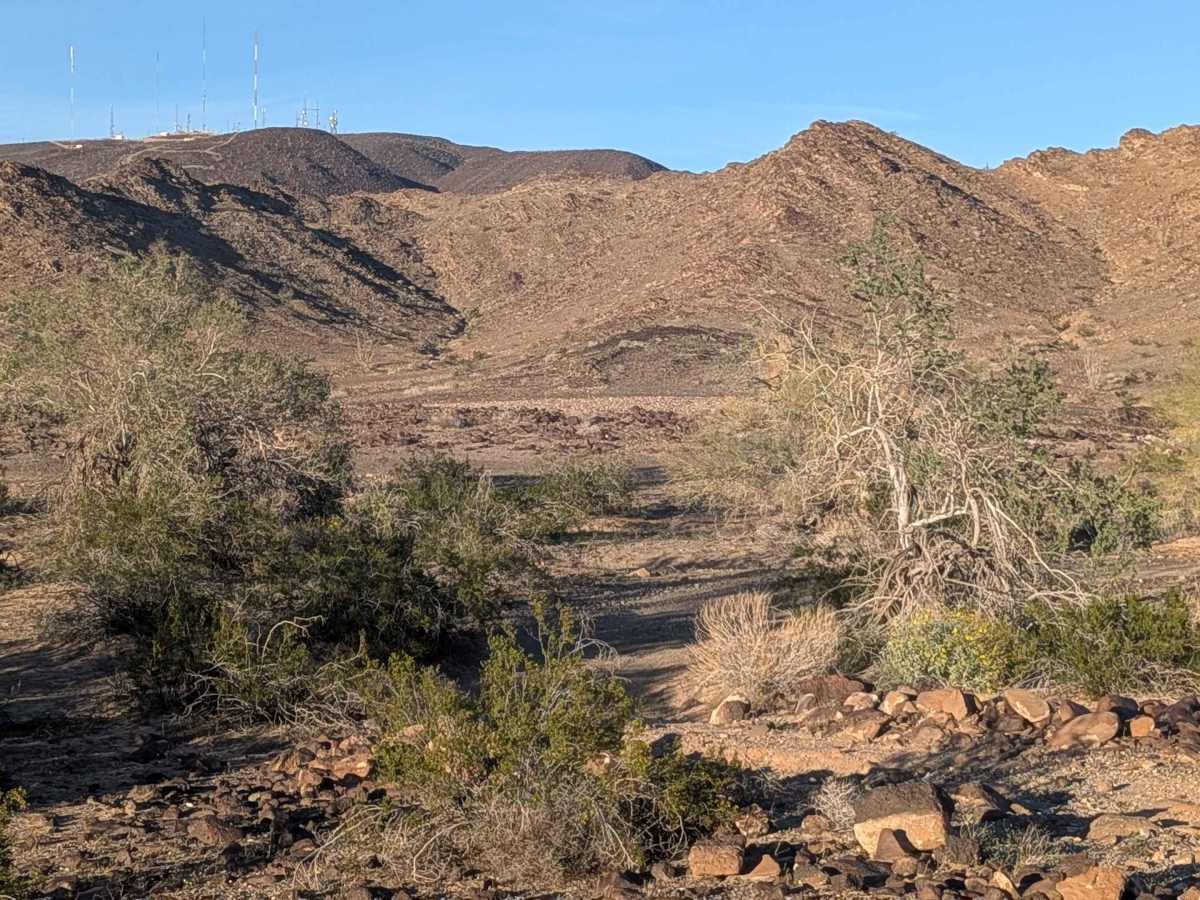 BLM 751 trail photo