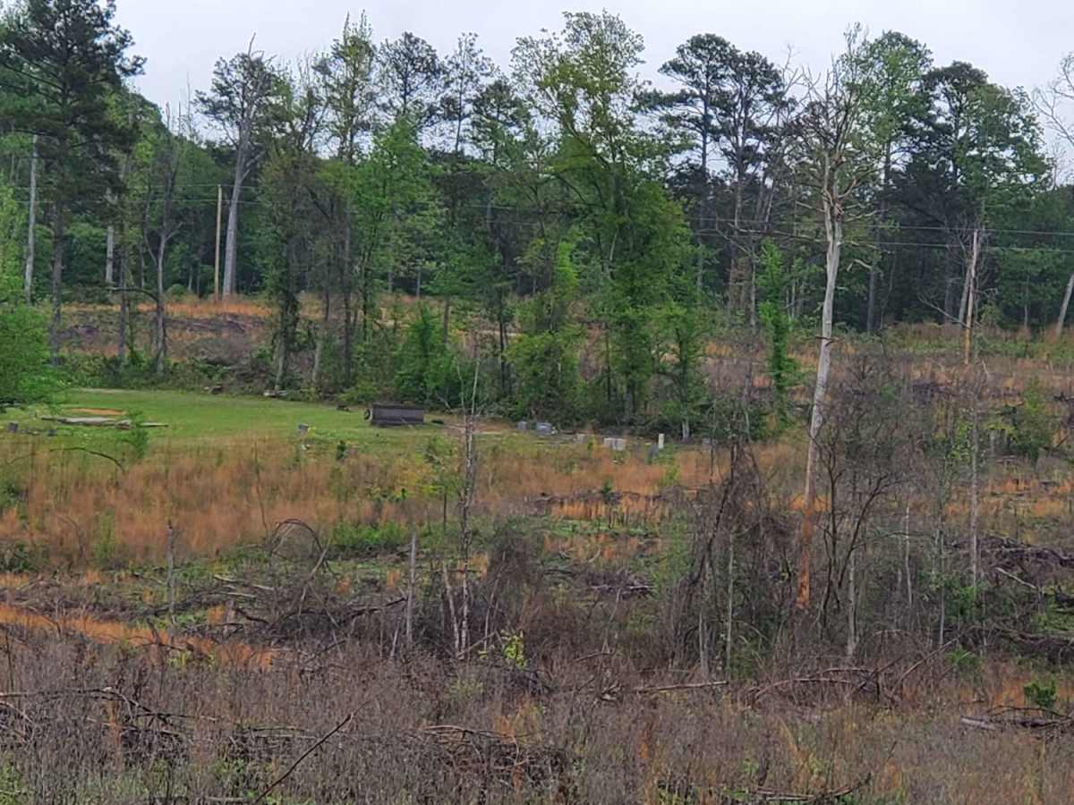 The Arkansas Overland Route - Section 8 - To Spoon Bend Camping Area photo 6