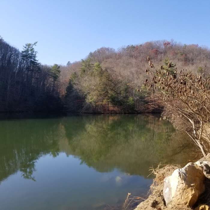 Near Fox Ridge Trail