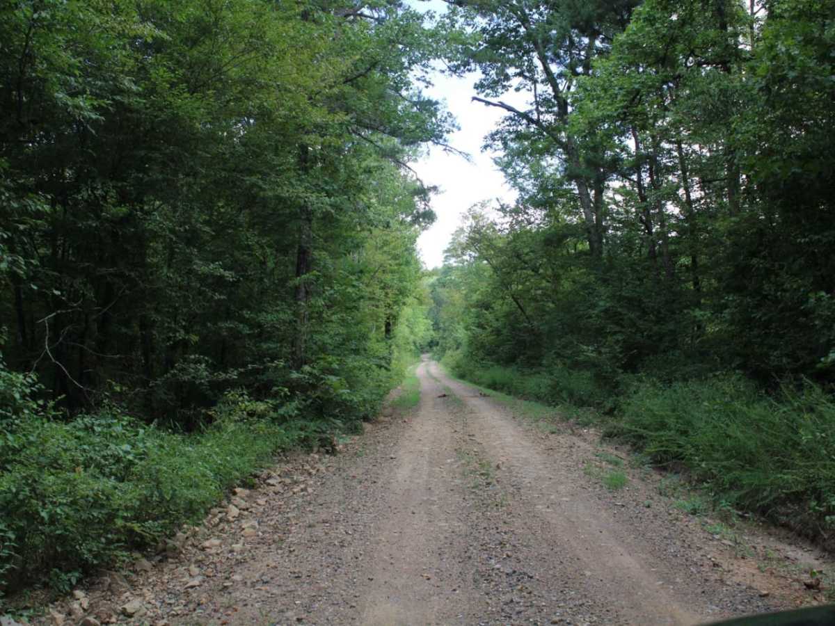 West Boundary photo 6