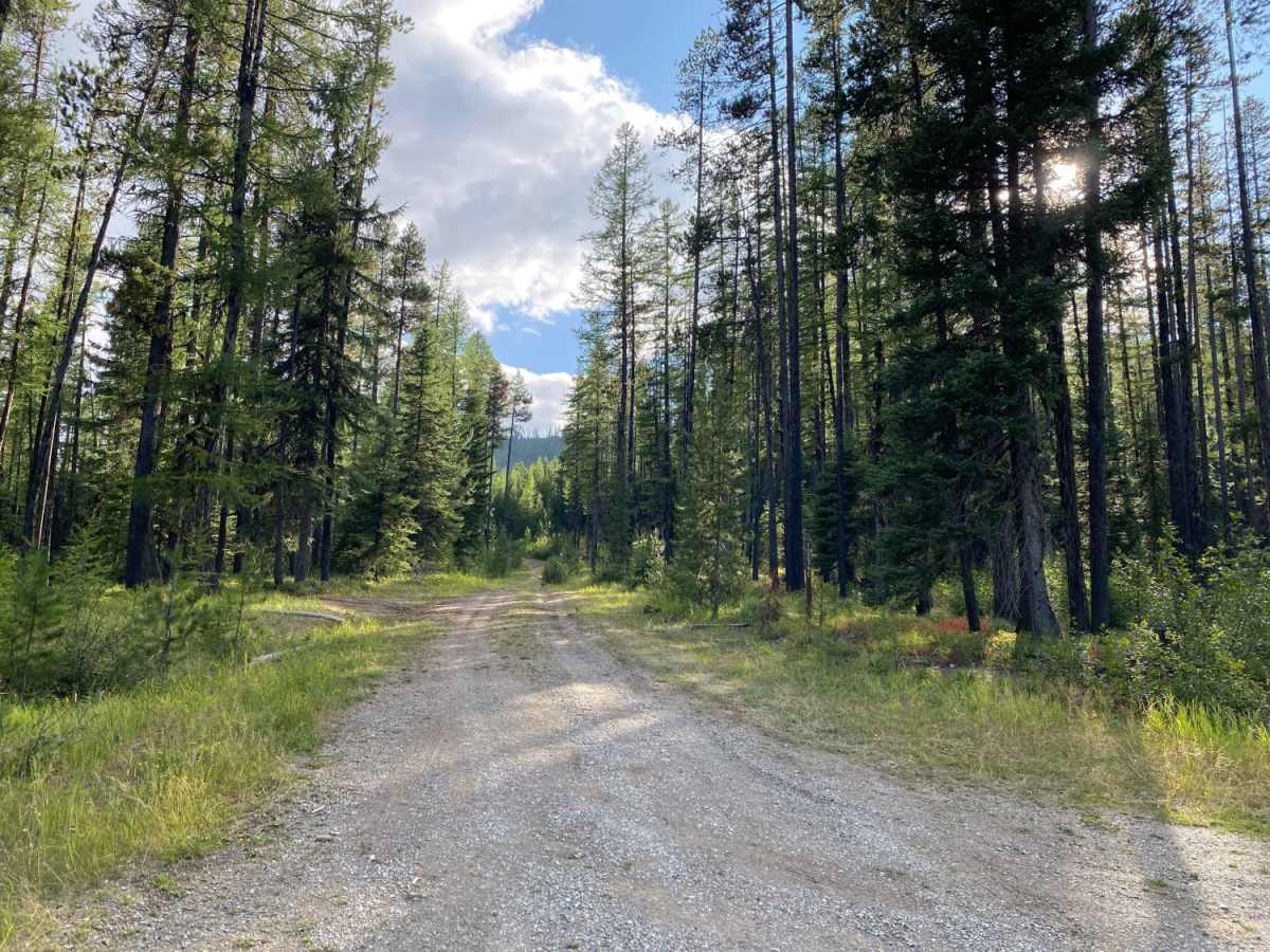 Fish Creek Road photo 5