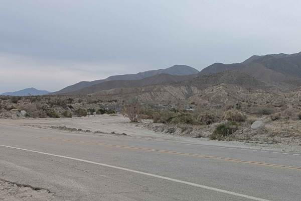 Coachwhip Canyon