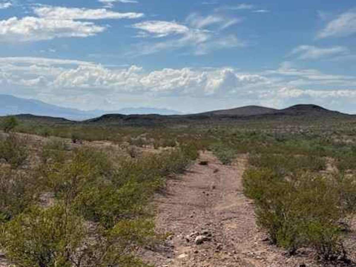 BLM PE1132 photo 5