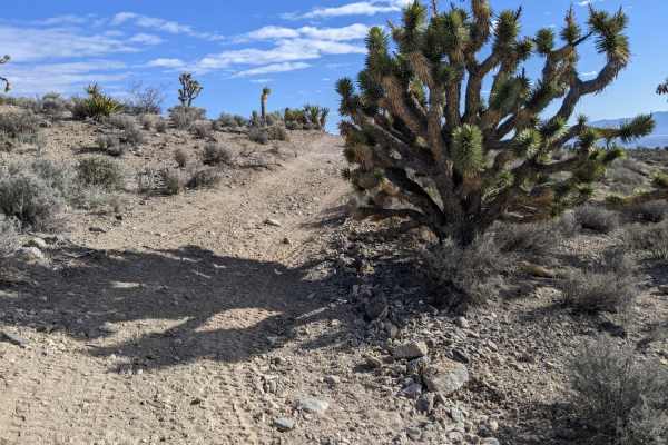 Horse Springs - Sand Wash Cut Across