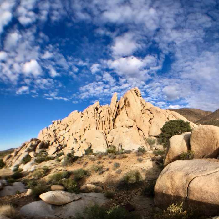 Near Ryan Ranch Loop