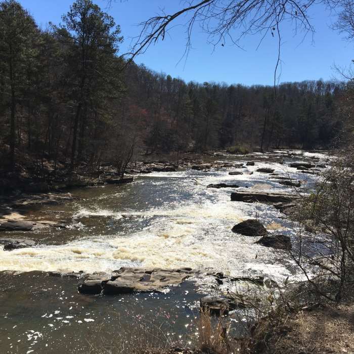 Red Trail follows Sweetwater Creek in its namesake state park. Near Sweetwater Creek Loop