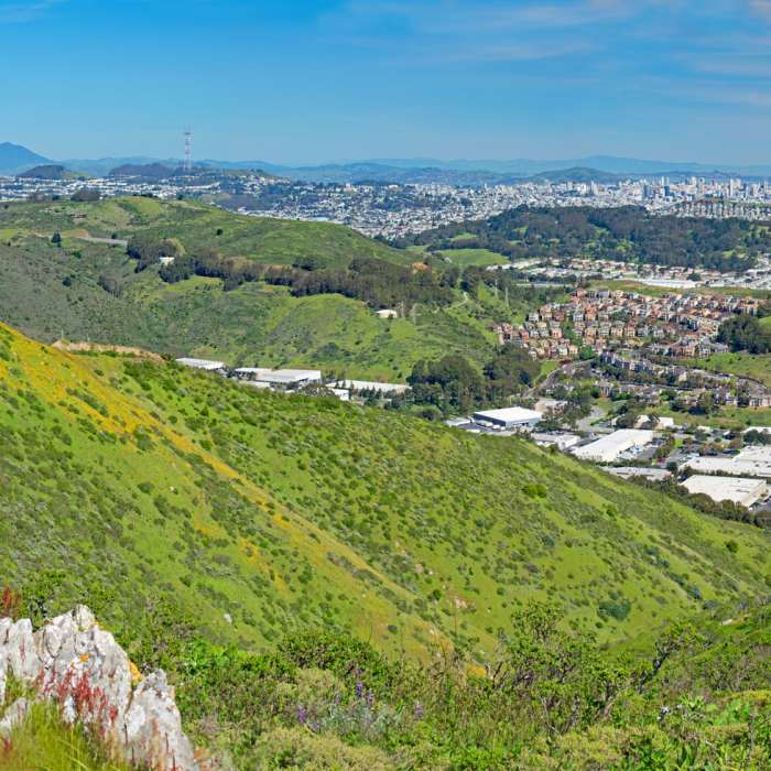 Near Ridge Trail