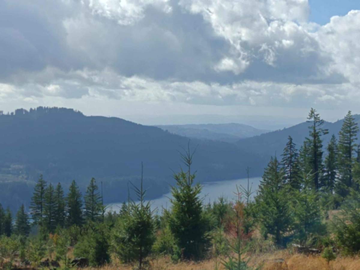 N-6600A1 trail photo