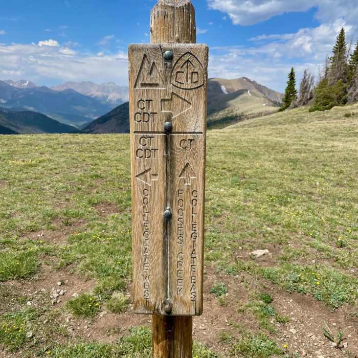 Near Colorado Trail: Collegiate West Segment 5