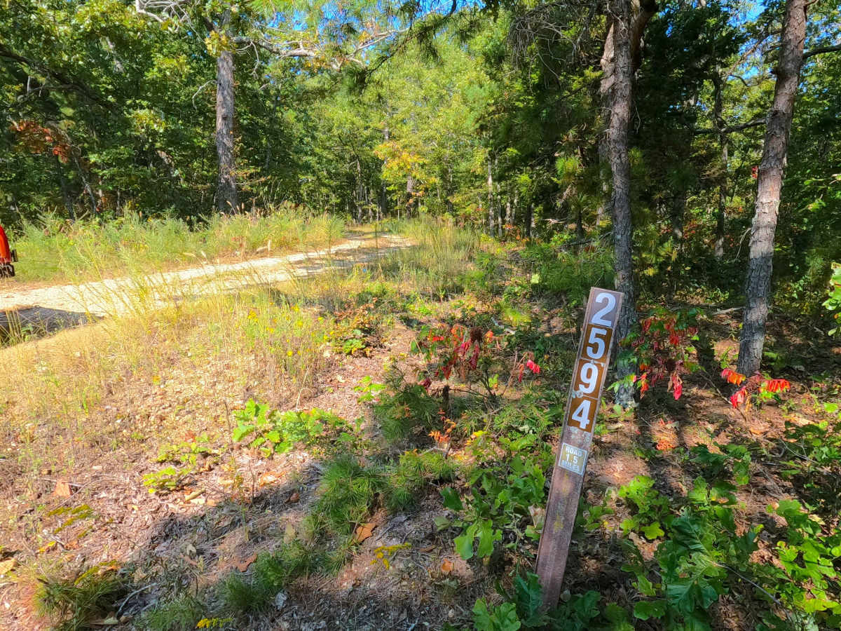 Beasley Hollow - FS 2594 trail photo