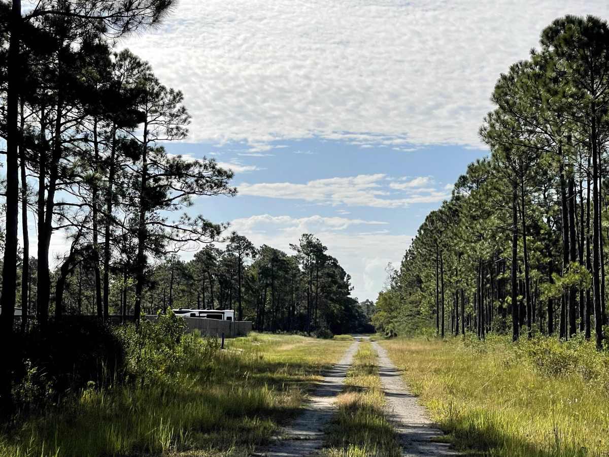 New Hanover Road photo 5