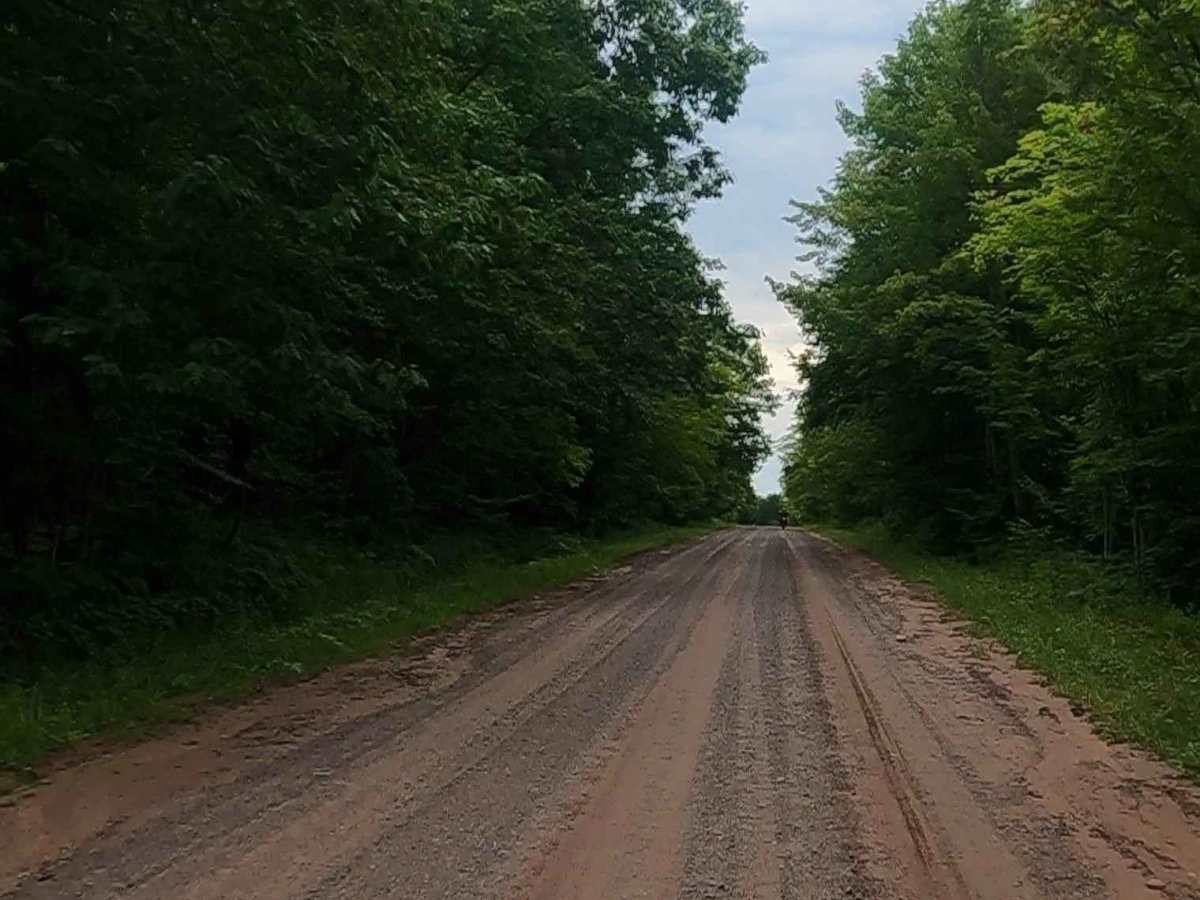 Baraga Plains Road photo 4