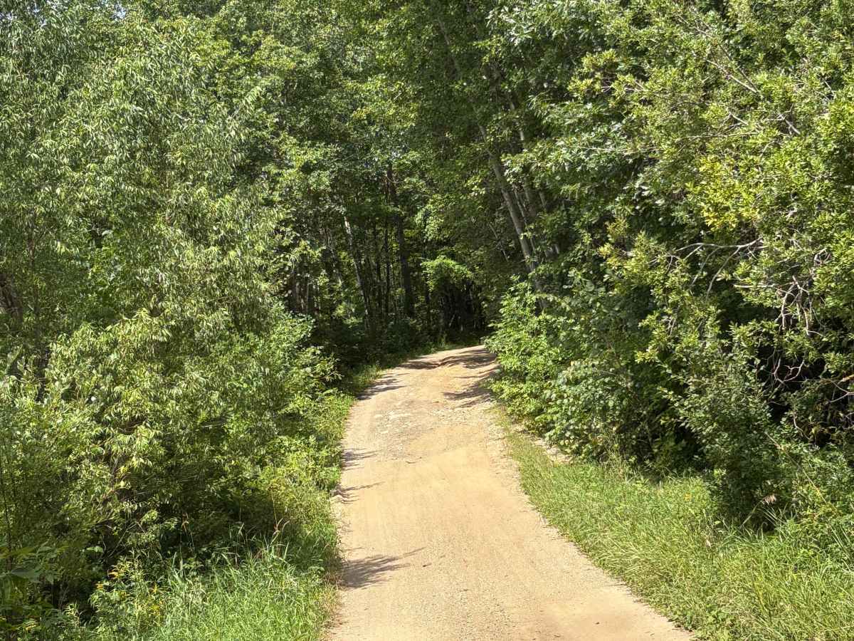 South Tulaby Trail photo 3
