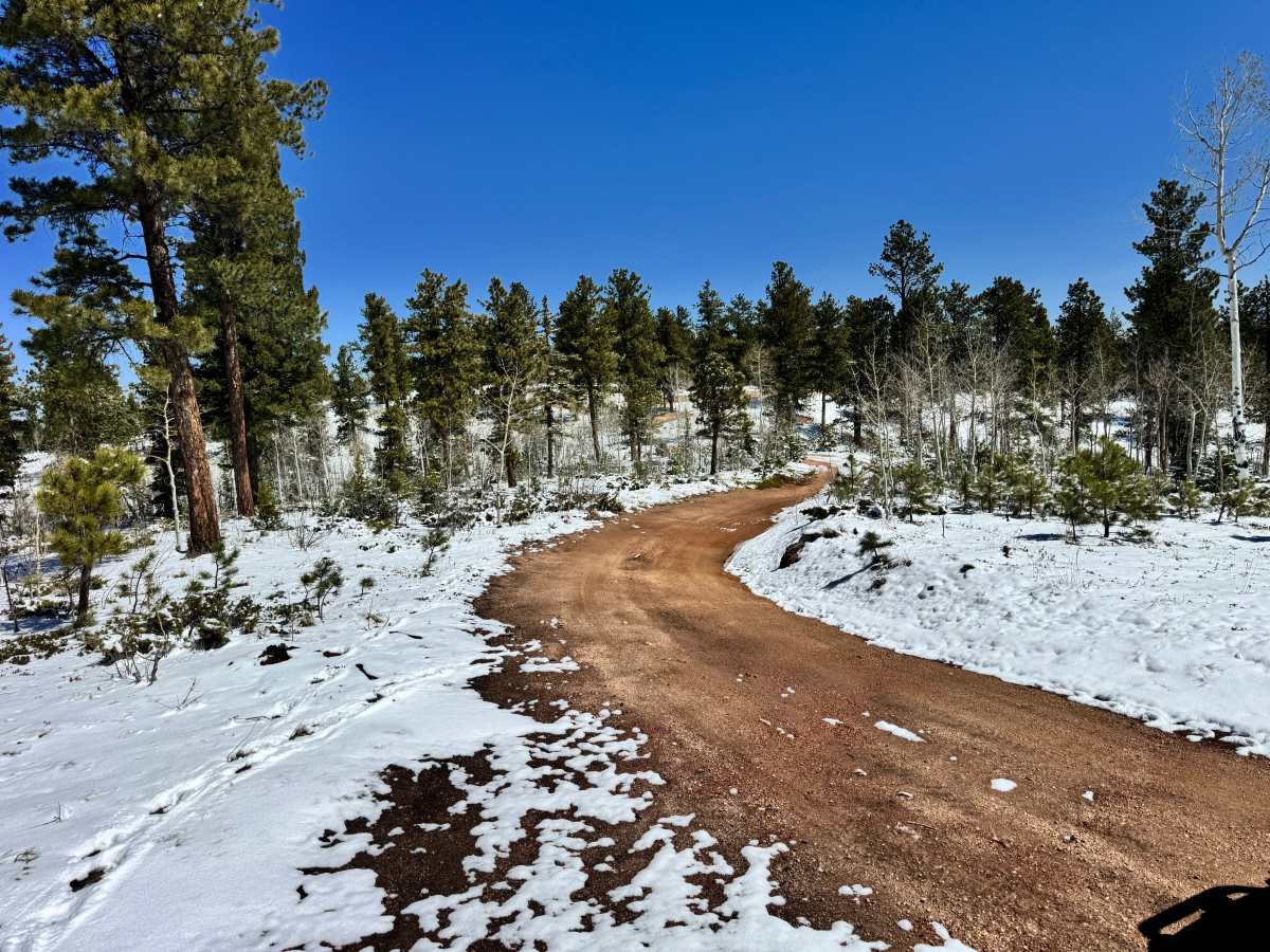 Cedar Cut 3 Road - FS 359 photo 2