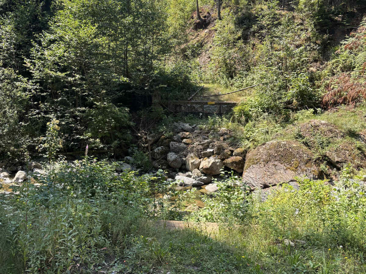 Ruby Forest Service Road photo 6