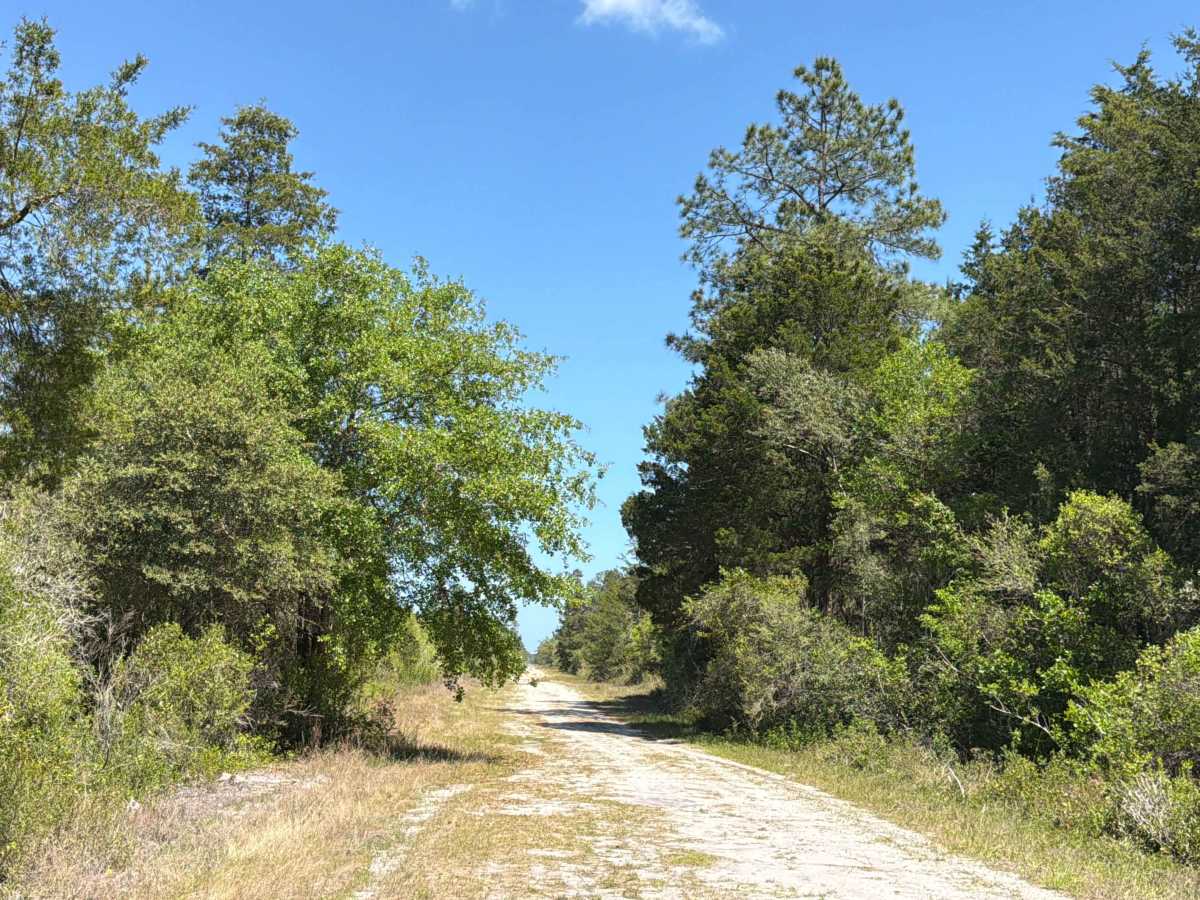 SFR 150 photo 6
