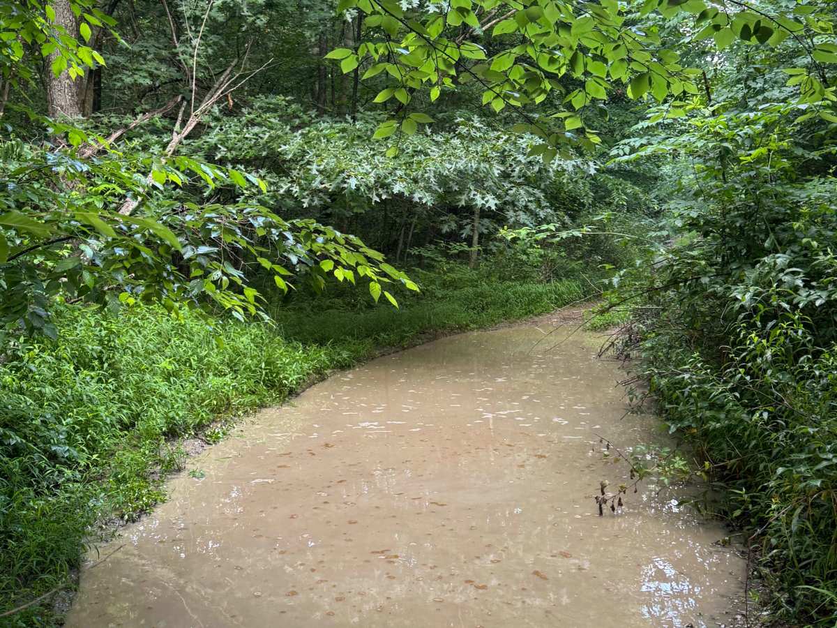 Trail 50 photo 2