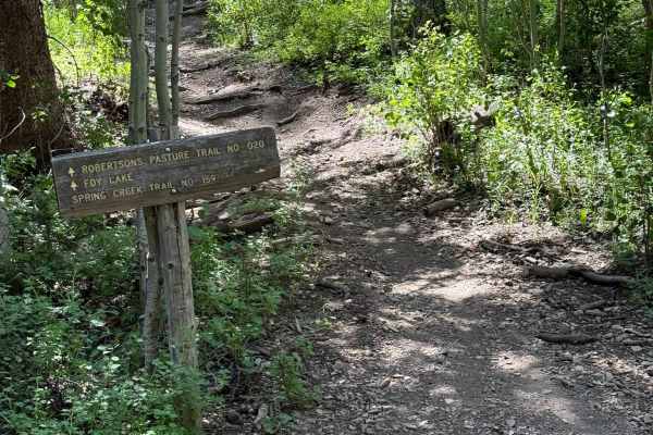 Spring Creek Trail No. 159