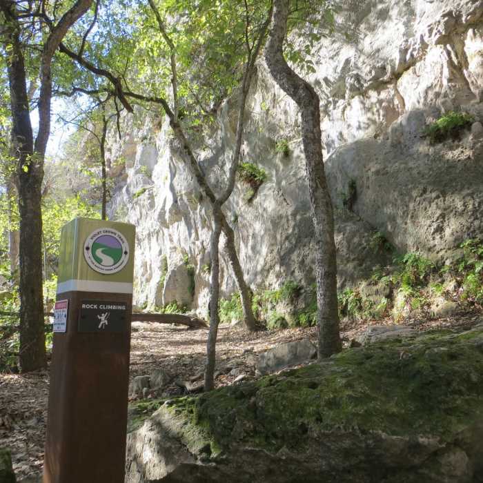 Near Violet Crown Trail