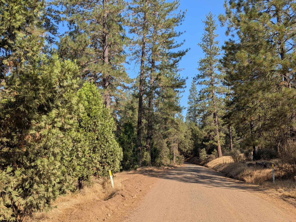 Bull Creek Road North photo 5