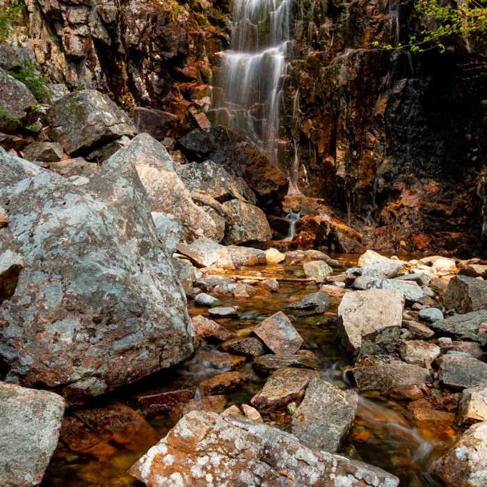 Near Hadlock + Waterfall + Hemlock Bridges Hike