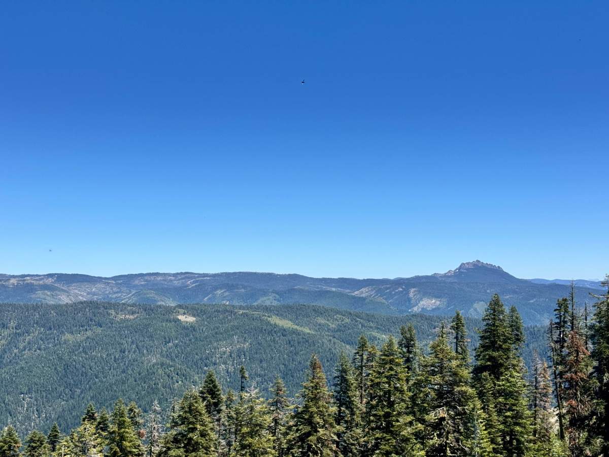 Saddleback Lookout - FS 25 photo 5