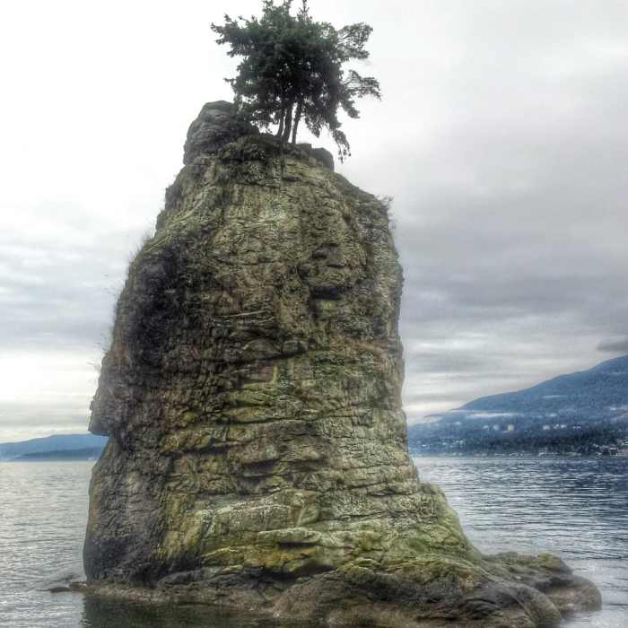 Near Stanley Park Seawall