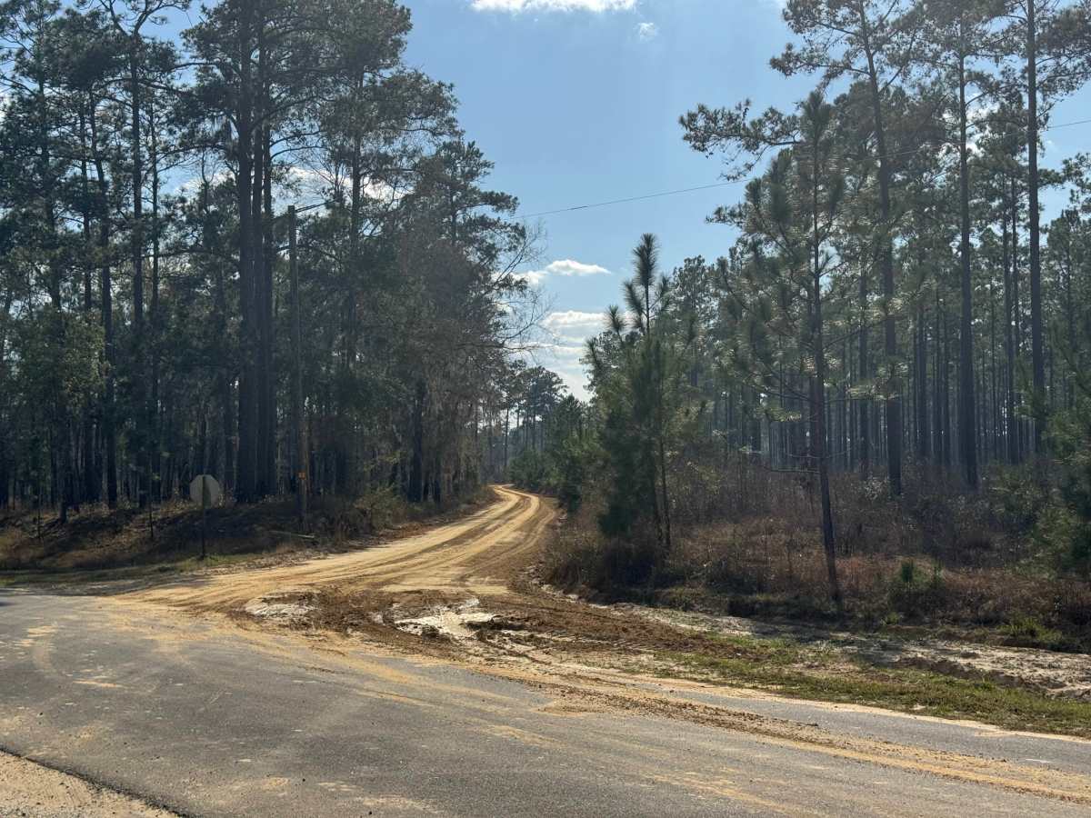 Ten Mile Still Road trail photo