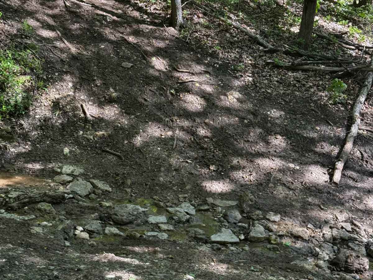 Inner Track 29  photo 3