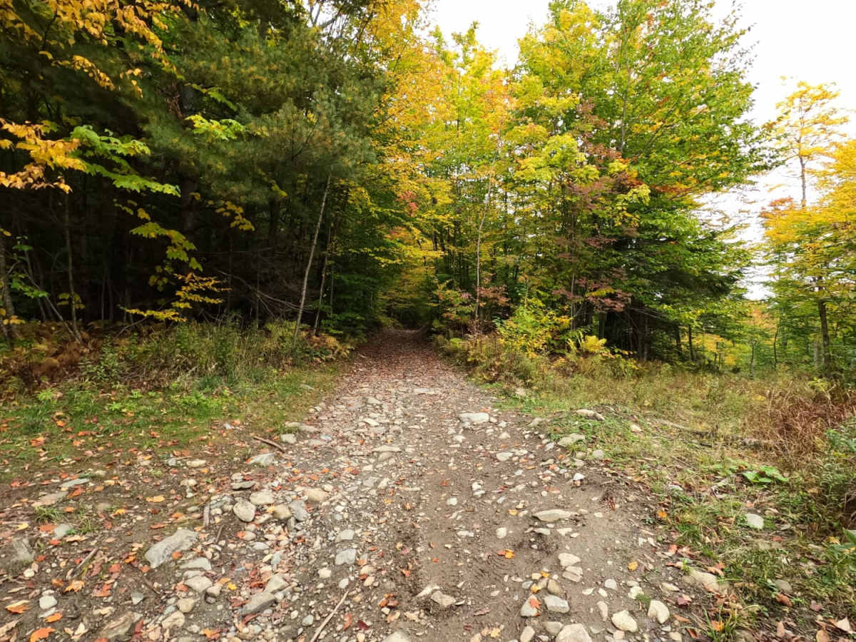 Lowell MTN / Baily-Hazen Military Road photo 2