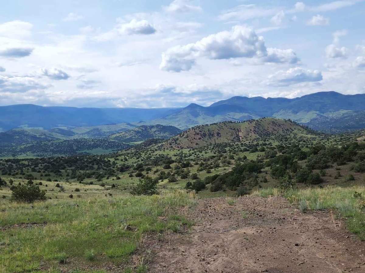 Pinon Cut Off trail photo