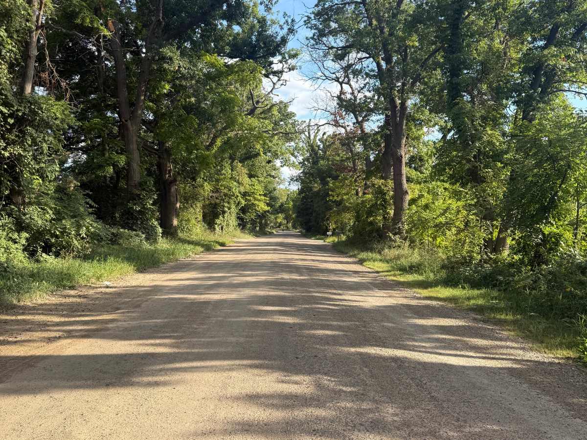 Bently Lake Trail trail photo