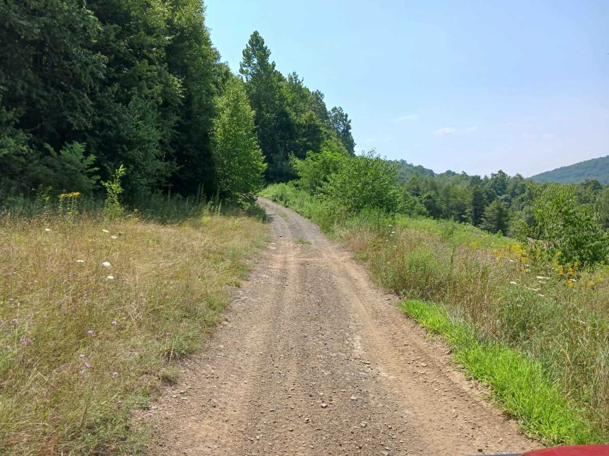 Big Buck Hill - Rock Run Recreation Area photo 4