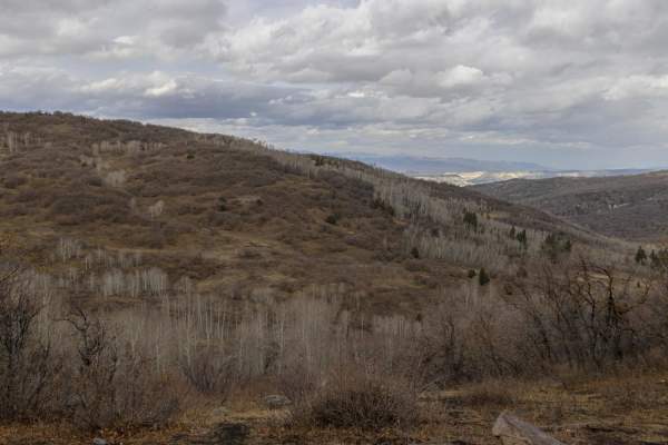Sheep Creek Road