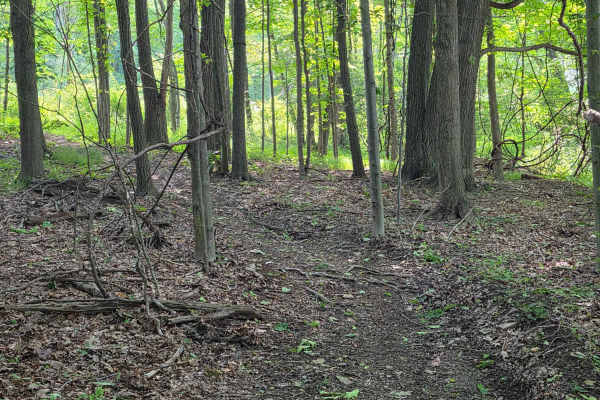 Single Track B