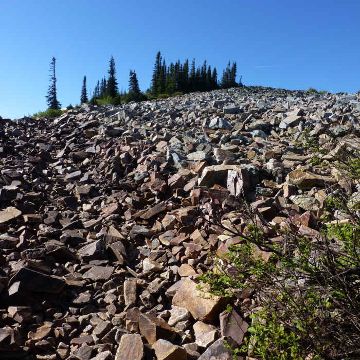 Near Chilco Mountain Trail #14