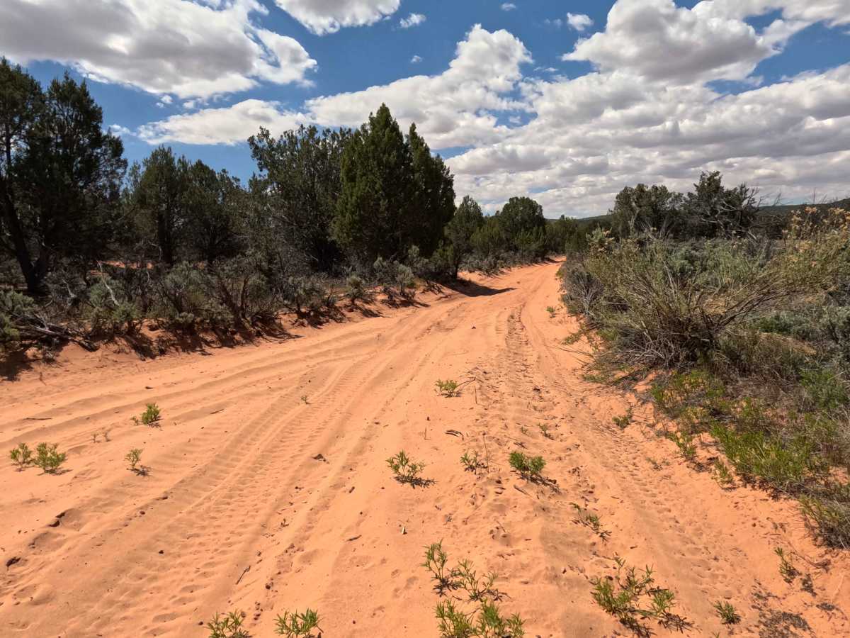 BLM 32  photo 4