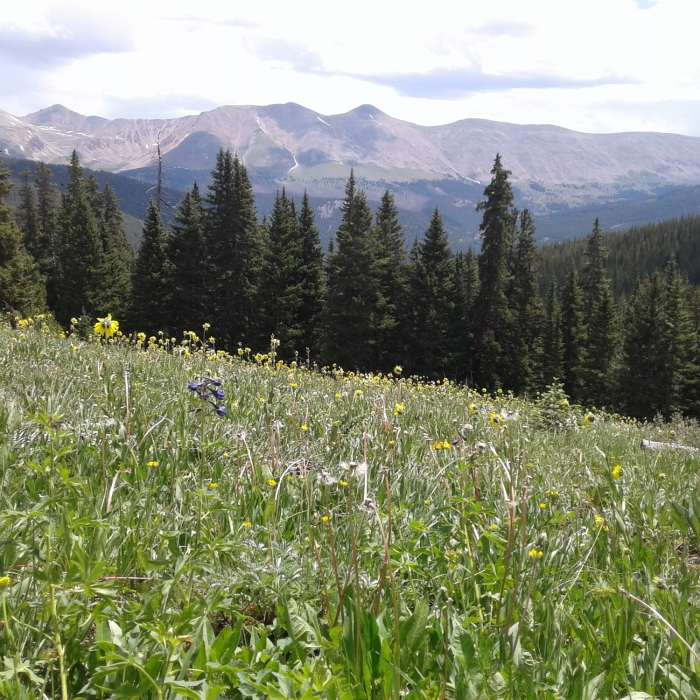 Near Sangree Froelicher Hut Trail #1503